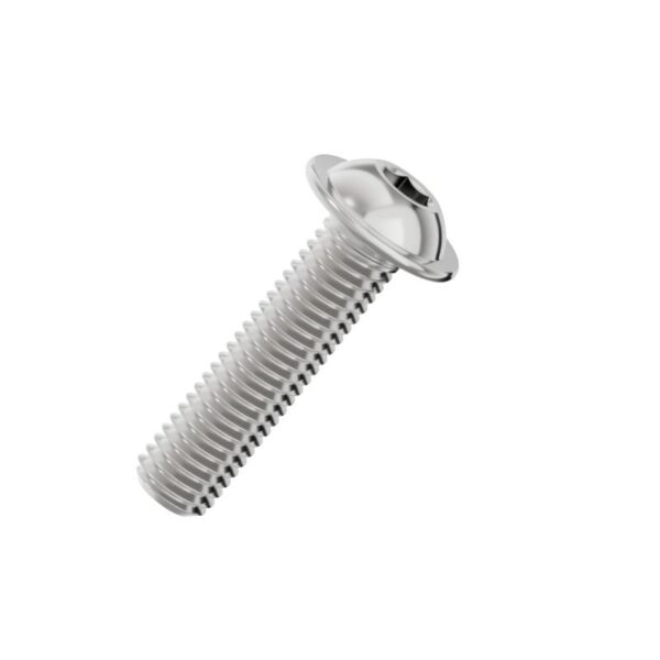 Hexagon-socket-button-head-screws-with-collar-304