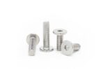 Hexagon-socket-ultra-low-flat-head-screw-304-2