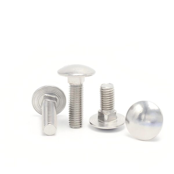 Carriage-bolt-304-1
