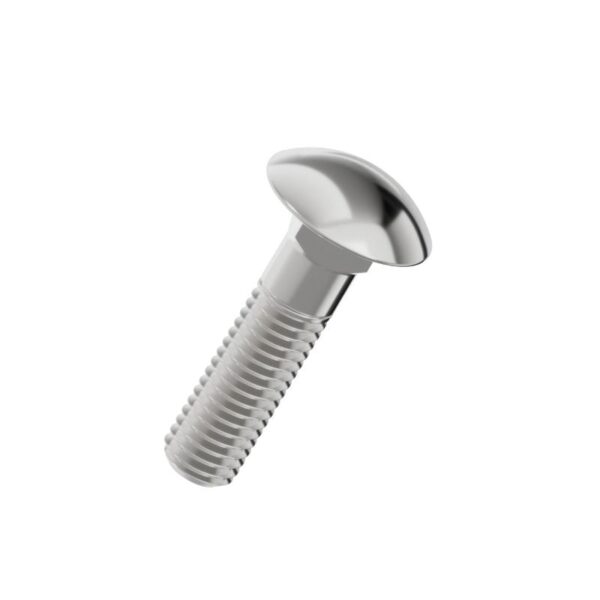 Carriage-bolt-304