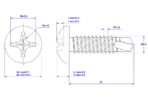 Cross-Recess-Pan-Head-Self-Drilling-Screw-M5.5X19