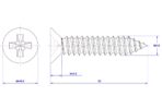 Cross-Recessed-Flat-Head-Self-Tapping-Screw-M3.9X55