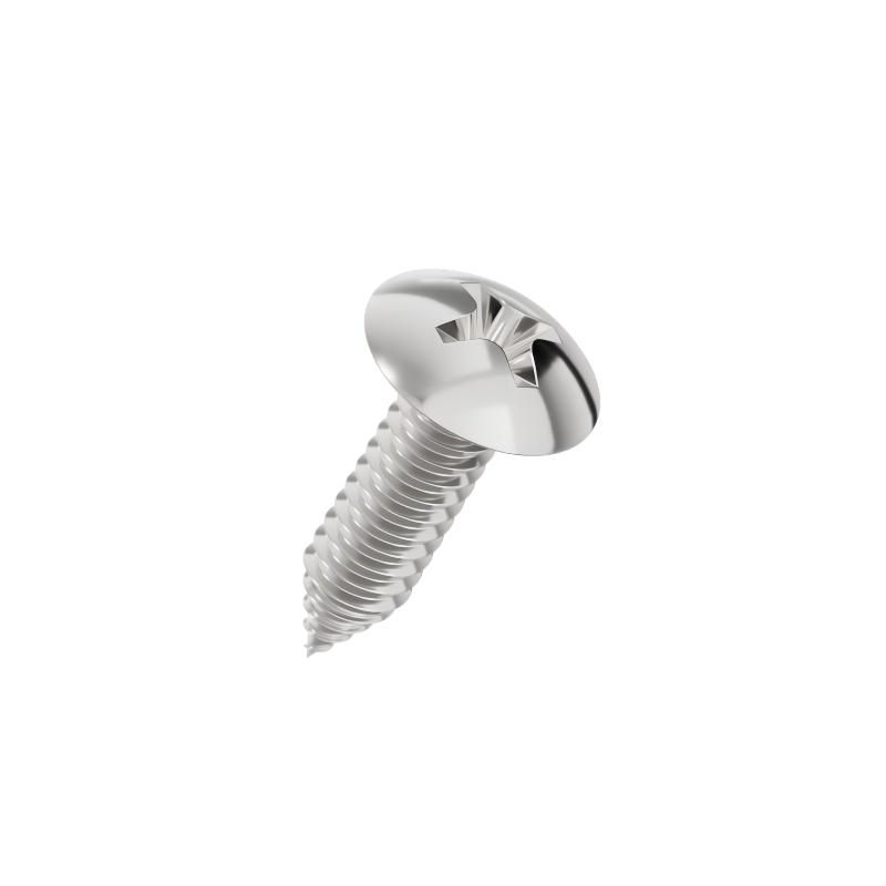 Cross Recessed Truss Head Self Tapping Screw -304 Cross-Recessed-Truss-Head-Self-Tapping-Screw-304