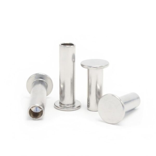 Flat-Head-Semi-Tubular-Rivet-304-1