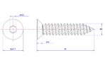 Hex-socket-countersunk-Self-Tapping-Screw-M4X55