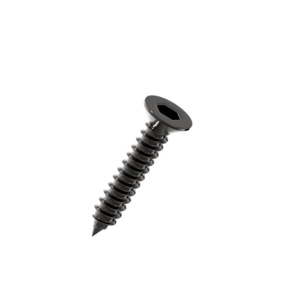 Hex-socket-countersunk-Self-Tapping-Screw-black