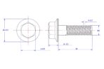 Hexagon-flange-bolt-Serrated-M4X30