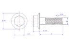 Hexagon-flange-bolt-Serrated-M5X8
