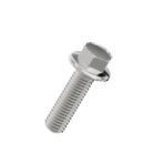 Hexagon-flange-bolts-304
