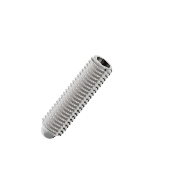 Hexagon-socket-ball-set-screw-304