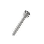 Hexagon-socket-cap-head-Self-Tapping-Screw-304