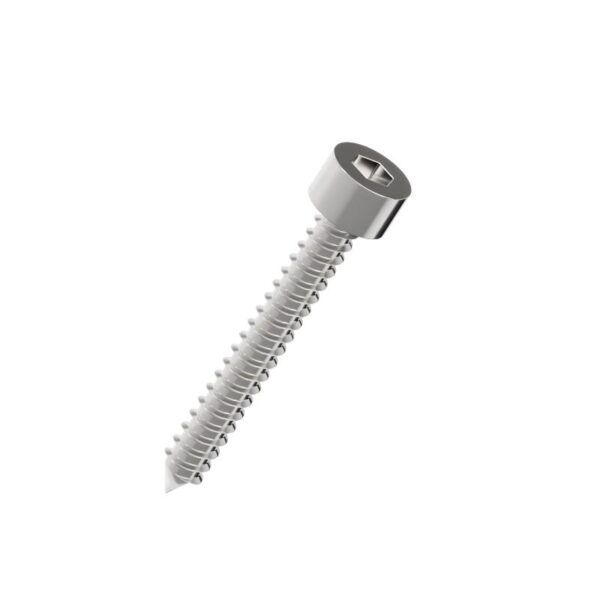 Hexagon-socket-cap-head-Self-Tapping-Screw-304
