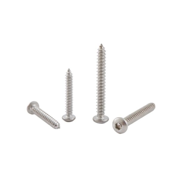 Hexagon-socket-pan-head-self-tapping-screw-304-1