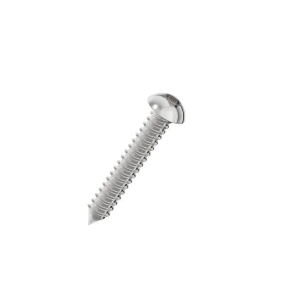 Hexagon-socket-pan-head-self-tapping-screw-304
