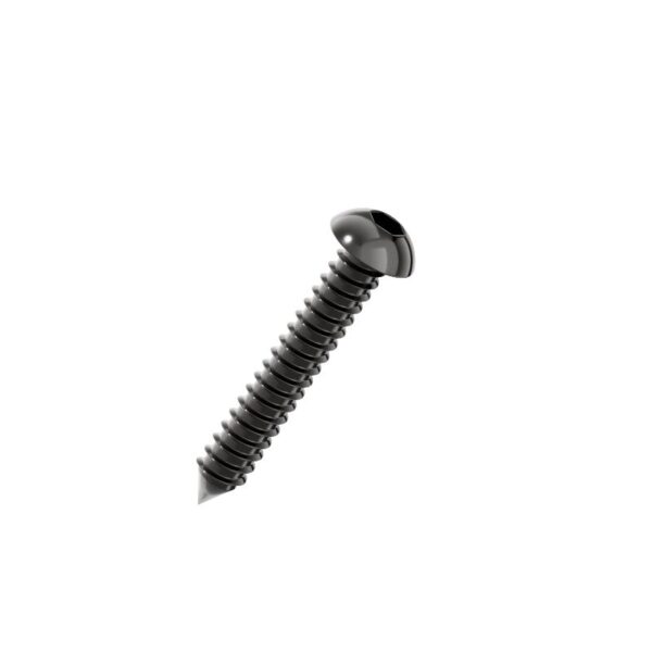 Hexagon-socket-pan-head-self-tapping-screw-black