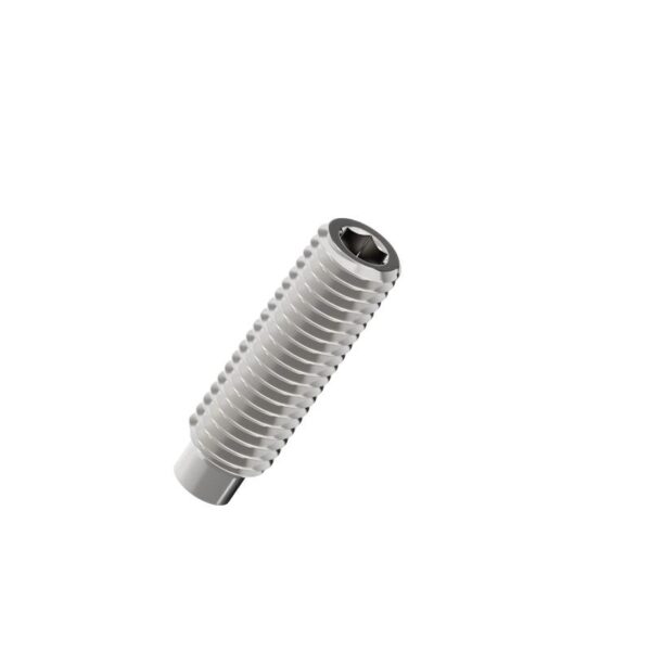 Hexagon-socket-set-screws-with-dog-point-304