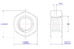 Hexagonal-nut-M20