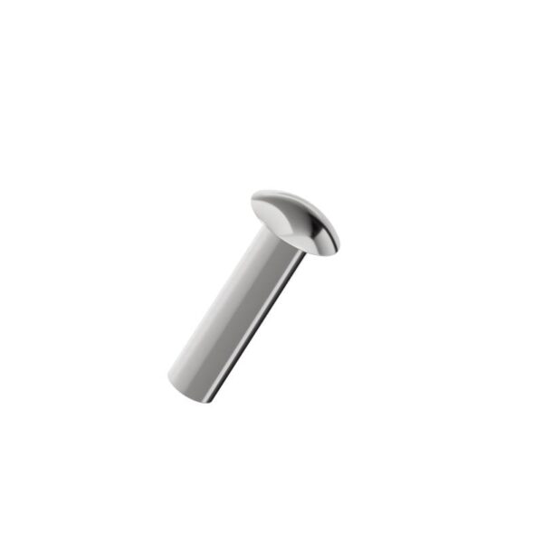 Mushroom-head-semi-tubular-rivet-304