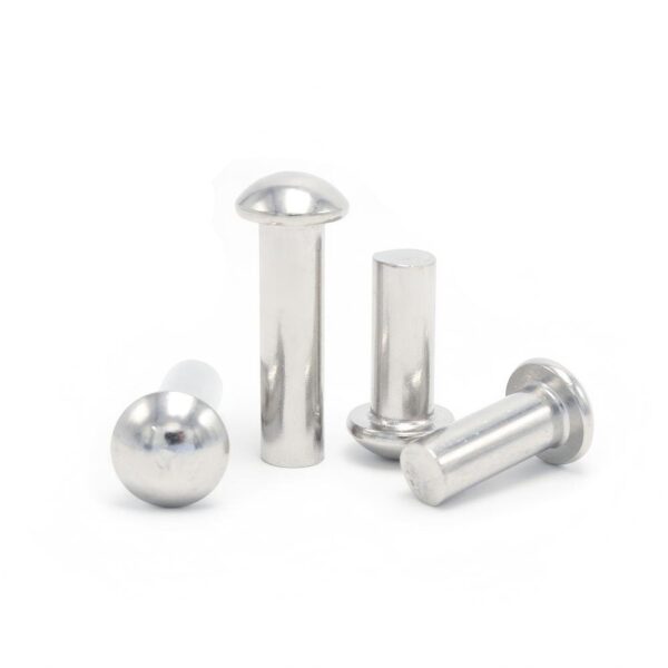 Round-Head-Rivet-304-1