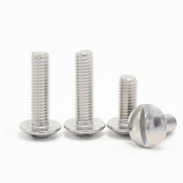 Slotted-large-raised-cheese-head-screws-304-1