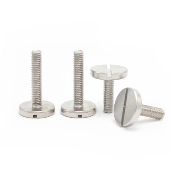 Slotted-pan-head-screws-with-large-head-304-1