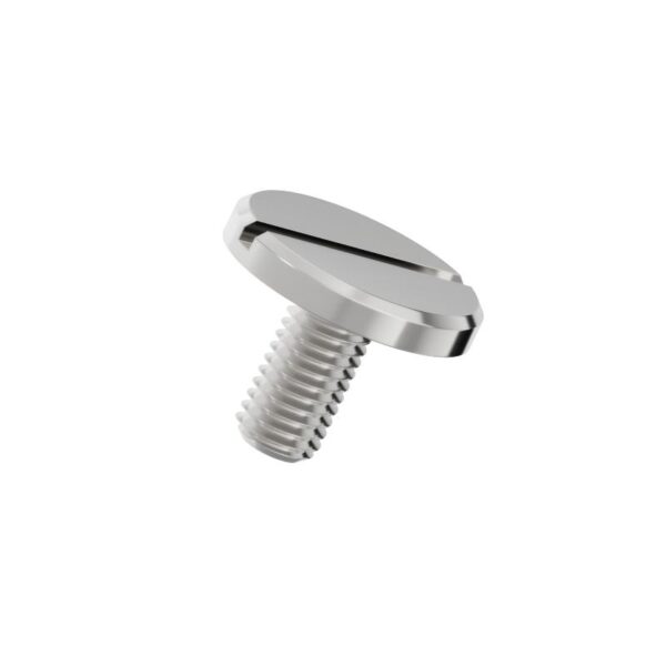 Slotted-pan-head-screws-with-large-head-304-3