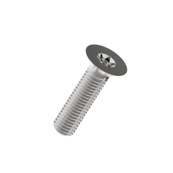 Tamper-resistant-Torx-countersunk-screw-304