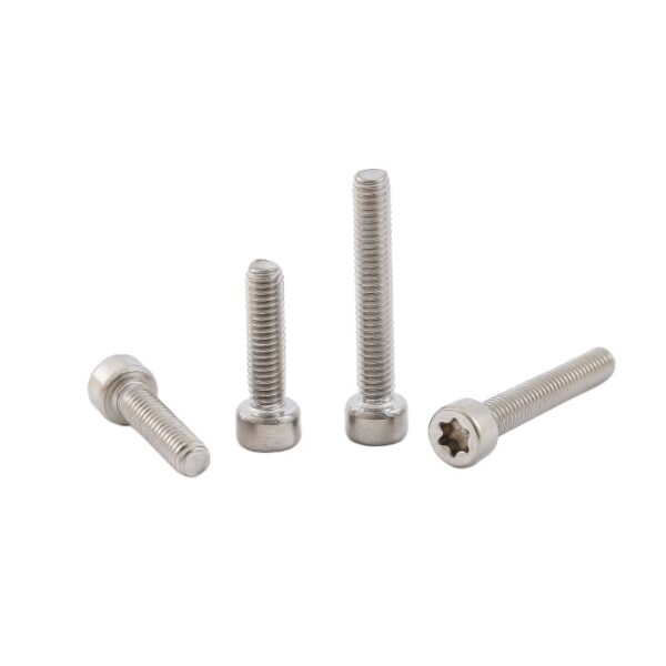 Torx-Cap-Head-Screw-304-1