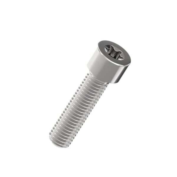 Torx-Cap-Head-Screw-304