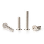 Torx-Ultra-flat-head-screw-304-1