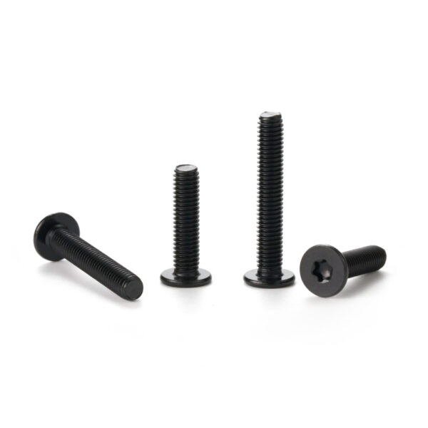 Torx-Ultra-flat-head-screw-black-1