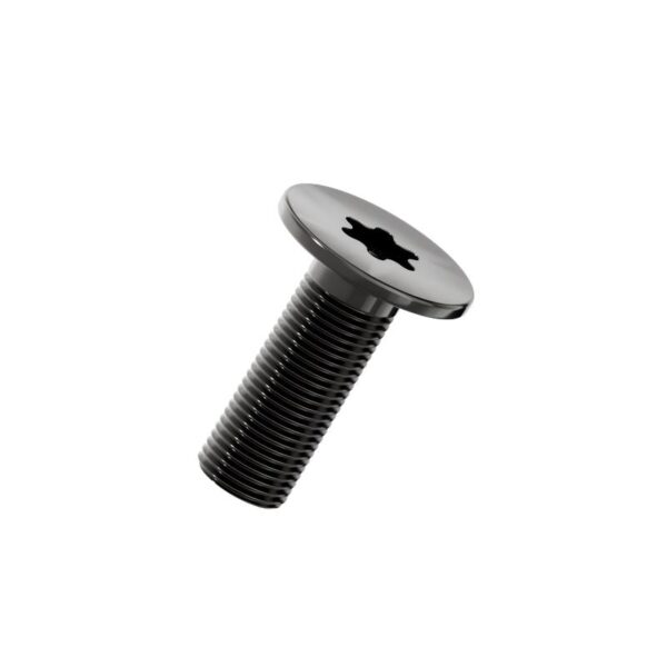 Torx-Ultra-flat-head-screw-black