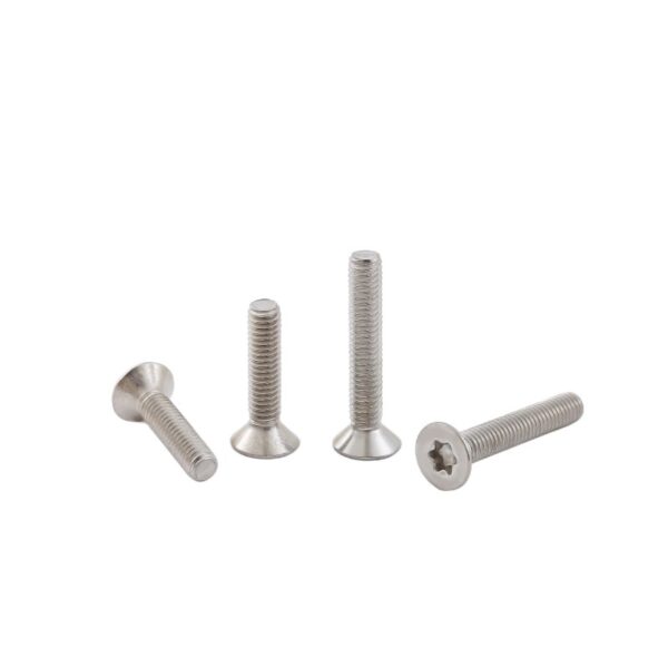 Torx-countersunk-screw-304-1
