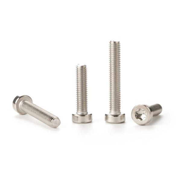 Torx-low-cup-head-screw-304-1