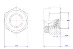 Hexagonal-Nylon-Lock-Nut-M20