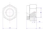 Hexagonal-Nylon-Lock-Nut-M6