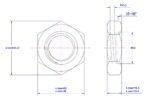 Hexagonal-Thin-Nut-M33
