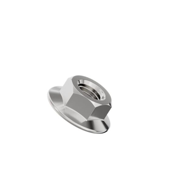 Hexagonal-flange-nut-304