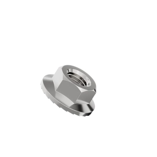 Hexagonal-flange-nut-serrated-304
