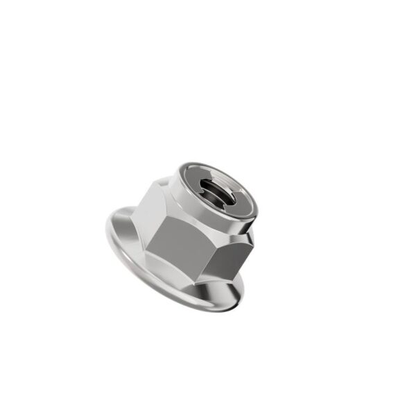 Metal-Hexagonal-Flange-Lock-Nut-304