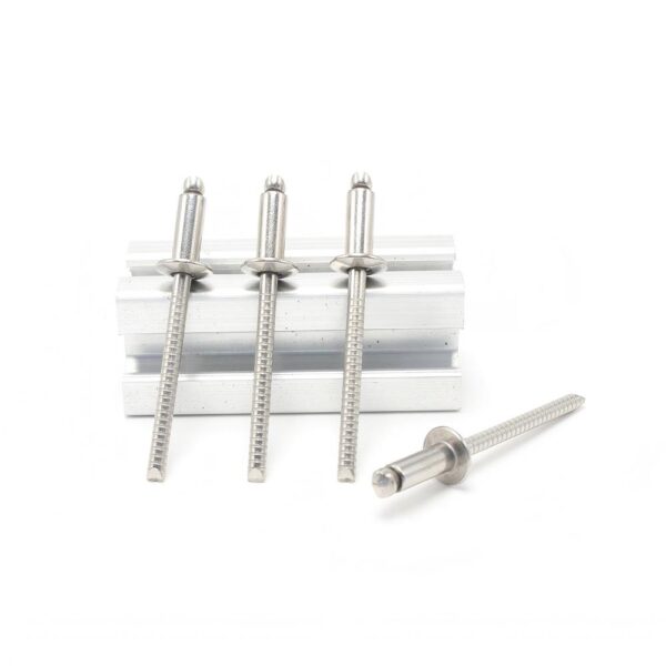 Round-Head-Blind-Rivet-304-1