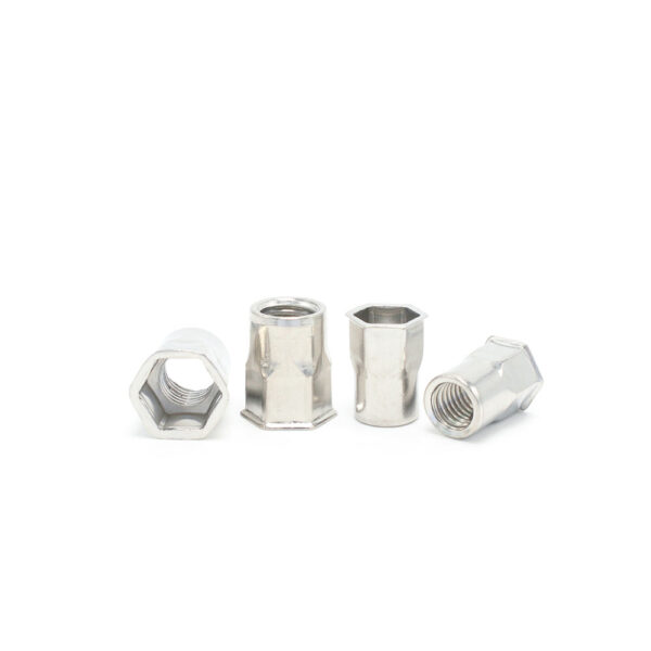 Small-Head-Half-Hexagon-Riveted-Nut-304-1