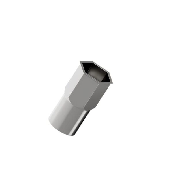 Small-Head-Half-Hexagon-Riveted-Nut-304